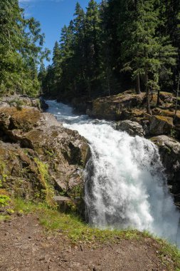 Rainier Dağı Ulusal Parkı 'nda ışıl ışıl parlayan bir Silver Falls manzarası. Ohanapecosh, Washington yakınlarında çekilmiş kaliteli bir fotoğraf..