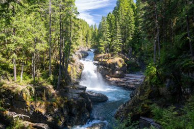Rainier Dağı Ulusal Parkı 'nda ışıl ışıl parlayan bir Silver Falls manzarası. Ohanapecosh, Washington yakınlarında çekilmiş kaliteli bir fotoğraf..