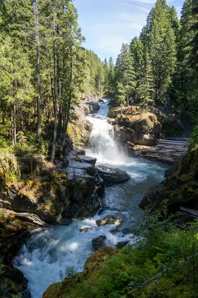 Rainier Dağı Ulusal Parkı 'nda ışıl ışıl parlayan bir Silver Falls manzarası. Ohanapecosh, Washington yakınlarında çekilmiş kaliteli bir fotoğraf..