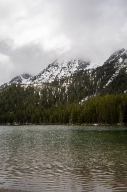 Arkasında bulutlu ve yağmurlu bir günde Grand Teton dağ sırasının olduğu güzel bir Leigh Gölü manzarası. Grand Teton Ulusal Parkı, Wyoming 'de kaliteli bir fotoğraf..