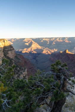 Arizona 'daki Grand Canyon Ulusal Parkı' ndaki kırmızı kayaların nefes kesici gündoğumu manzarası. Arizona 'daki Büyük Kanyon Köyü' nün güneyinde altın saat boyunca çekilmiş kaliteli bir fotoğraf..