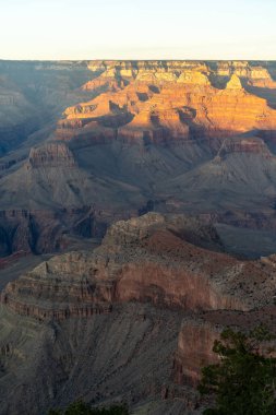 Arizona 'daki Grand Canyon Ulusal Parkı' ndaki kırmızı kayaların çarpıcı günbatımı manzarası. Arizona 'daki Büyük Kanyon Köyü' nün güneyinde altın saat boyunca çekilmiş kaliteli bir fotoğraf..
