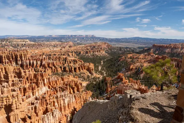 Utah 'taki Bryce Canyon Ulusal Parkı' ndaki kızıl kaya ve kabadayıların göz kamaştırıcı güneşli manzarası. Bryce Canyon Ulusal Parkı, Utah 'ta çekilmiş kaliteli bir fotoğraf..