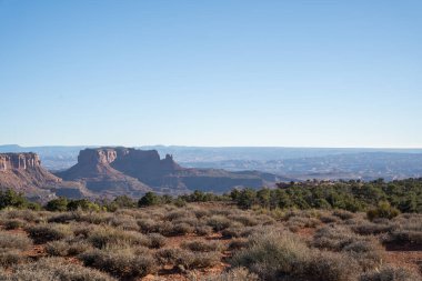 Utah, Canyonlands Ulusal Parkı 'nda günbatımında kızıl kaya kanyonlarının ve kayaların güzel manzarası. Utah, Canyonlands Ulusal Parkı 'nda çekilmiş kaliteli bir fotoğraf..