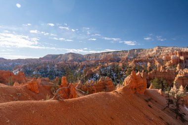 Bryce Canyon Ulusal Parkı 'nda yeşil ve kırmızı kayalıklarla çevrili güzel bir Hoodoos manzarası. Bryce Canyon City, Utah yakınlarında çekilmiş kaliteli bir fotoğraf..