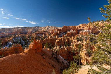 Bryce Canyon Ulusal Parkı 'nda yeşil ve kırmızı kayalıklarla çevrili güzel bir Hoodoos manzarası. Bryce Canyon City, Utah yakınlarında çekilmiş kaliteli bir fotoğraf..