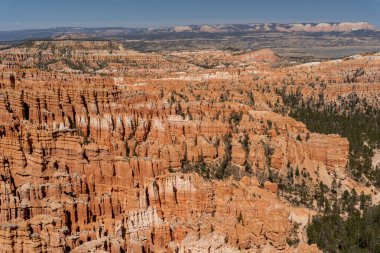 Bryce Canyon Ulusal Parkı 'nda yeşil ve kırmızı kayalıklarla çevrili güzel bir Hoodoos manzarası. Bryce Canyon City, Utah yakınlarında çekilmiş kaliteli bir fotoğraf..