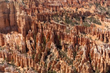 Bryce Canyon Ulusal Parkı 'nda yeşil ve kırmızı kayalıklarla çevrili güzel bir Hoodoos manzarası. Bryce Canyon City, Utah yakınlarında çekilmiş kaliteli bir fotoğraf..