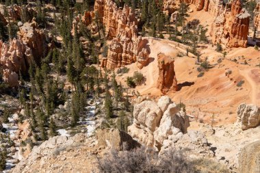 Bryce Canyon Ulusal Parkı 'nda yeşil ve kırmızı kayalıklarla çevrili güzel bir Hoodoos manzarası. Bryce Canyon City, Utah yakınlarında çekilmiş kaliteli bir fotoğraf..