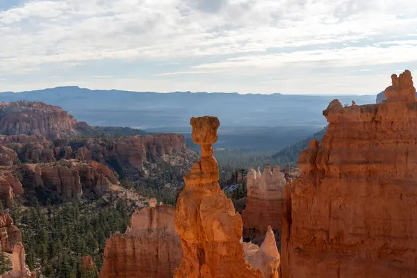 Bryce Canyon Ulusal Parkı 'nda altın saat ışığında Thors Hammer büyüsü. Etrafı diğer kızıl kaya kabadayıları, yeşillik ve ağaçlarla çevrili. Bryce Canyon City, Utah yakınlarında çekilmiş kaliteli bir fotoğraf..