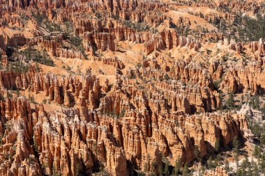 Bryce Canyon Ulusal Parkı 'nda yeşil ve kırmızı kayalıklarla çevrili güzel bir Hoodoos manzarası. Bryce Canyon City, Utah yakınlarında çekilmiş kaliteli bir fotoğraf..