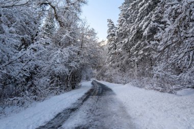 MillCreek Kanyonu boyunca uzanan donmuş bir yol karlı ağaçlar ve bir dağ tarafından gözden kaçırılır. Millcreek, Utah 'ta çekilmiş kaliteli bir fotoğraf..