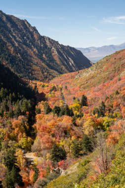 A beautiful overview of trees changing colors in Mill Creek Canyon at the beginning of Autumn. A high-quality photo taken near Millcreek, Utah. clipart