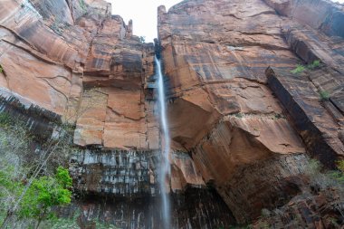 Göz kamaştırıcı bir manzara Zion Ulusal Parkı 'ndaki Lower Emerald Havuzu' nda şelale, kırmızı kayalar ve yeşillik. Springdale, Utah yakınlarında çekilmiş kaliteli bir fotoğraf..