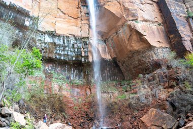 Göz kamaştırıcı bir manzara Zion Ulusal Parkı 'ndaki Lower Emerald Havuzu' nda şelale, kırmızı kayalar ve yeşillik. Springdale, Utah yakınlarında çekilmiş kaliteli bir fotoğraf..