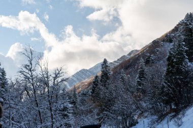 Salt Lake City yakınlarındaki Millcreek Kanyonu 'ndaki karla kaplı dağların donmuş manzarası. Millcreek, Utah 'ta çekilmiş kaliteli bir fotoğraf..
