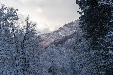 Salt Lake City yakınlarındaki Millcreek Kanyonu 'ndaki karla kaplı dağların donmuş manzarası. Millcreek, Utah 'ta çekilmiş kaliteli bir fotoğraf..