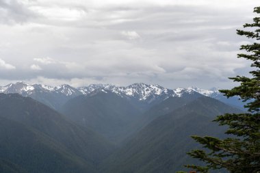 Kasırga Sırtı 'ndan bulutlu bir günde dağlara bakan güzel bir manzara. Olympic National Park, Washington 'da çekilmiş kaliteli bir fotoğraf..