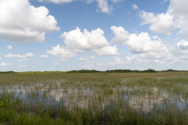 Güneşli bir günde Shark Valley Gözlem Kulesi 'nin tepesinden kimsenin olmadığı yeşil Everglades' e bakan güzel bir manzara. Everglades Ulusal Parkı, Florida 'da çekilmiş kaliteli bir fotoğraf..