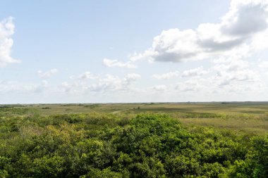 Güneşli bir günde Shark Valley Gözlem Kulesi 'nin tepesinden kimsenin olmadığı yeşil Everglades' e bakan güzel bir manzara. Everglades Ulusal Parkı, Florida 'da çekilmiş kaliteli bir fotoğraf..
