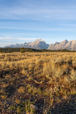 Altın Saat sırasında ve güneşli bir günde insanların olmadığı Teton Dağı 'nın çarpıcı manzarası. Grand Teton Ulusal Parkı, Wyoming 'de çekilmiş kaliteli bir fotoğraf.