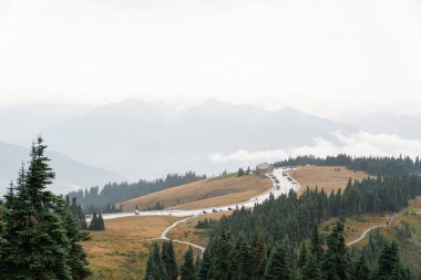 Yağmurlu ve bulutlu bir günde Olimpiyat Ulusal Parkı 'ndaki Ridge Kasırgası' nın tepesinden çarpıcı bir dağ manzarası. Port Angeles, Washington yakınlarında çekilmiş kaliteli bir fotoğraf..