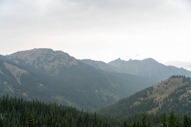 Yağmurlu ve bulutlu bir günde Olimpiyat Ulusal Parkı 'ndaki Ridge Kasırgası' nın tepesinden çarpıcı bir dağ manzarası. Port Angeles, Washington yakınlarında çekilmiş kaliteli bir fotoğraf..