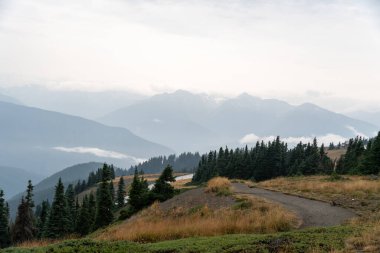 A stunning view of mountains on a rainy and cloudy day from atop Hurricane Ridge, Olympic National Park. A high-quality photo taken near Port Angeles, Washington. clipart