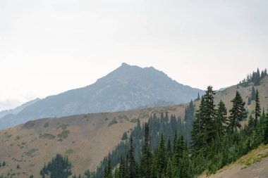 A stunning view of mountains on a rainy and cloudy day from atop Hurricane Ridge, Olympic National Park. A high-quality photo taken near Port Angeles, Washington. clipart