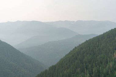 Yağmurlu ve bulutlu bir günde Olimpiyat Ulusal Parkı 'ndaki Ridge Kasırgası' nın tepesinden çarpıcı bir dağ manzarası. Port Angeles, Washington yakınlarında çekilmiş kaliteli bir fotoğraf..