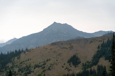 Yağmurlu ve bulutlu bir günde Olimpiyat Ulusal Parkı 'ndaki Ridge Kasırgası' nın tepesinden çarpıcı bir dağ manzarası. Port Angeles, Washington yakınlarında çekilmiş kaliteli bir fotoğraf..