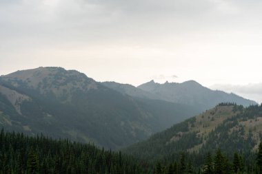 Yağmurlu ve bulutlu bir günde Olimpiyat Ulusal Parkı 'ndaki Ridge Kasırgası' nın tepesinden çarpıcı bir dağ manzarası. Port Angeles, Washington yakınlarında çekilmiş kaliteli bir fotoğraf..