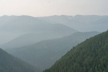 Yağmurlu ve bulutlu bir günde Olimpiyat Ulusal Parkı 'ndaki Ridge Kasırgası' nın tepesinden çarpıcı bir dağ manzarası. Port Angeles, Washington yakınlarında çekilmiş kaliteli bir fotoğraf..