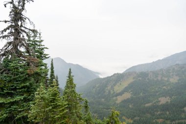 Yağmurlu ve bulutlu bir günde Olimpiyat Ulusal Parkı 'ndaki Ridge Kasırgası' nın tepesinden çarpıcı bir dağ manzarası. Port Angeles, Washington yakınlarında çekilmiş kaliteli bir fotoğraf..