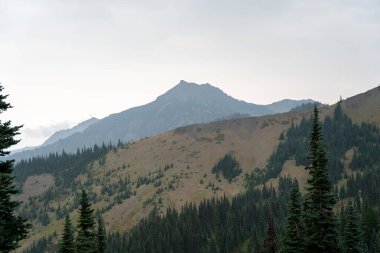Yağmurlu ve bulutlu bir günde Olimpiyat Ulusal Parkı 'ndaki Ridge Kasırgası' nın tepesinden çarpıcı bir dağ manzarası. Port Angeles, Washington yakınlarında çekilmiş kaliteli bir fotoğraf..