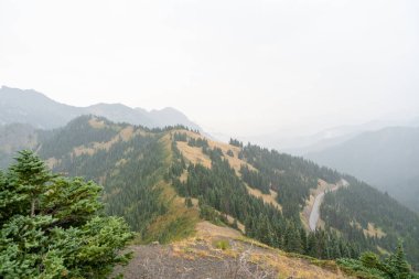 A stunning view of mountains on a rainy and cloudy day from atop Hurricane Ridge, Olympic National Park. A high-quality photo taken near Port Angeles, Washington. clipart