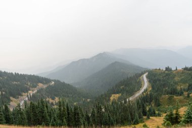 Yağmurlu ve bulutlu bir günde Olimpiyat Ulusal Parkı 'ndaki Ridge Kasırgası' nın tepesinden çarpıcı bir dağ manzarası. Port Angeles, Washington yakınlarında çekilmiş kaliteli bir fotoğraf..