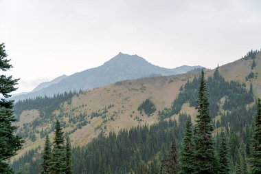 Yağmurlu ve bulutlu bir günde Olimpiyat Ulusal Parkı 'ndaki Ridge Kasırgası' nın tepesinden çarpıcı bir dağ manzarası. Port Angeles, Washington yakınlarında çekilmiş kaliteli bir fotoğraf..