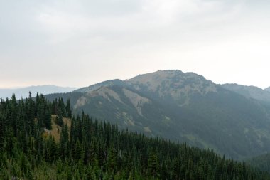 Yağmurlu ve bulutlu bir günde Olimpiyat Ulusal Parkı 'ndaki Ridge Kasırgası' nın tepesinden çarpıcı bir dağ manzarası. Port Angeles, Washington yakınlarında çekilmiş kaliteli bir fotoğraf..