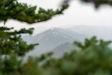 Yağmurlu ve bulutlu bir günde Olimpiyat Ulusal Parkı 'ndaki Ridge Kasırgası' nın tepesinden çarpıcı bir dağ manzarası. Port Angeles, Washington yakınlarında çekilmiş kaliteli bir fotoğraf..