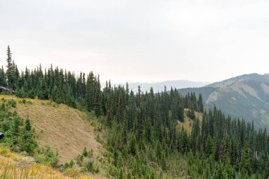 Yağmurlu ve bulutlu bir günde Olimpiyat Ulusal Parkı 'ndaki Ridge Kasırgası' nın tepesinden çarpıcı bir dağ manzarası. Port Angeles, Washington yakınlarında çekilmiş kaliteli bir fotoğraf..