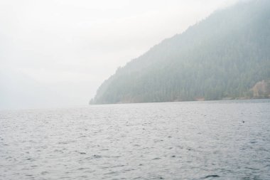Washington 'da yağmurlu ve sisli bir günde Crescent Gölü' nün manzarasının tadını çıkarın. Olimpiyat Ulusal Parkı 'nda yüksek kaliteli bir fotoğraf..