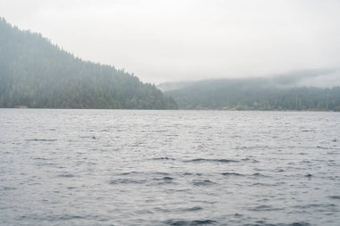 Washington 'da yağmurlu ve sisli bir günde Crescent Gölü' nün manzarasının tadını çıkarın. Olimpiyat Ulusal Parkı 'nda yüksek kaliteli bir fotoğraf..