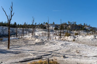 Yellowstone Ulusal Parkı 'nda güneşli bir günde Mammoth Kaplıcaları manzarası. Mamut, Wyoming yakınlarında çekilmiş kaliteli bir fotoğraf..