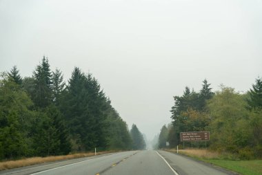 Pasifiğin kuzeybatısında karamsar ve sisli bir günde ağaçlar ve yeşilliklerle çevrili manzaralı bir yol. Washington 'da yüksek kaliteli bir fotoğraf çekildi..
