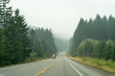 Pasifiğin kuzeybatısında karamsar ve sisli bir günde ağaçlar ve yeşilliklerle çevrili manzaralı bir yol. Washington 'da yüksek kaliteli bir fotoğraf çekildi..