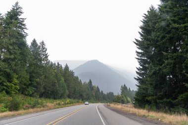Pasifiğin kuzeybatısında karamsar ve sisli bir günde ağaçlar ve yeşilliklerle çevrili manzaralı bir yol. Washington 'da yüksek kaliteli bir fotoğraf çekildi..