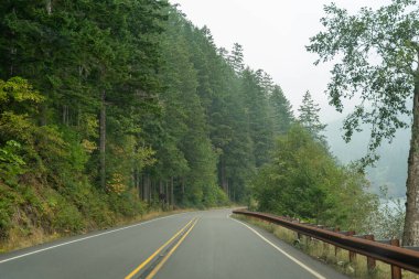 Pasifiğin kuzeybatısında karamsar ve sisli bir günde ağaçlar ve yeşilliklerle çevrili manzaralı bir yol. Washington 'da yüksek kaliteli bir fotoğraf çekildi..