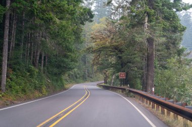 Pasifiğin kuzeybatısında karamsar ve sisli bir günde ağaçlar ve yeşilliklerle çevrili manzaralı bir yol. Washington 'da yüksek kaliteli bir fotoğraf çekildi..