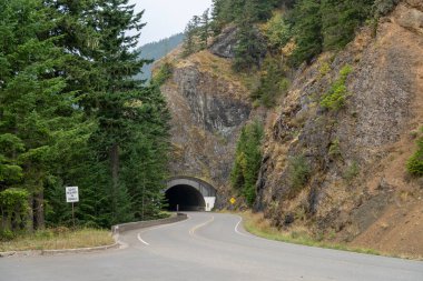 Pasifiğin kuzeybatısında karamsar ve sisli bir günde ağaçlar ve yeşilliklerle çevrili manzaralı bir yol. Washington 'da yüksek kaliteli bir fotoğraf çekildi..